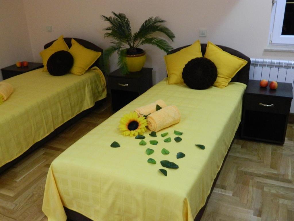 Akva Gold Aparthotel Arandjelovac Rum bild